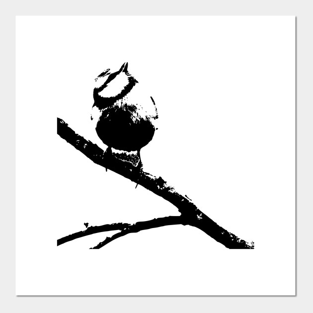 monochrome cute bird